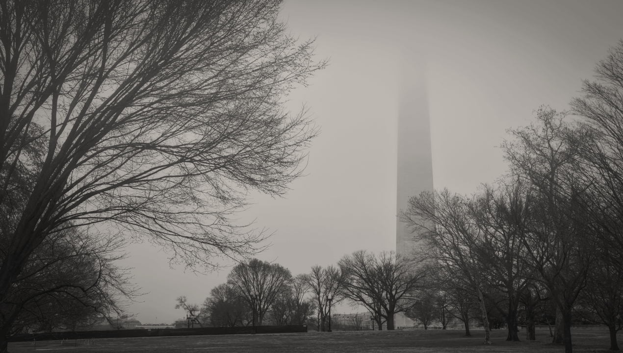 Market Insights January 12, 2026